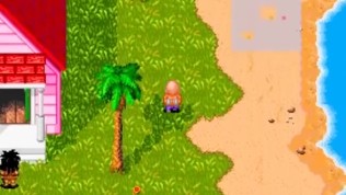 Kamesutra V0.04 Part 1 Sexy Bulma and Dreaming about Chi-Chi By LoveSkySanX