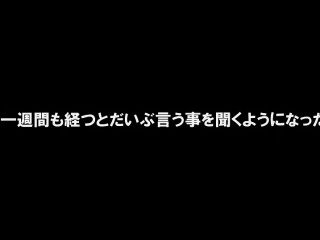 Wife Prisoner Gohoushi Sex vol.1 – Amazing 3D hentai adult